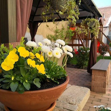 Korzó Apartman Kőszeg Zewnętrze zdjęcie
