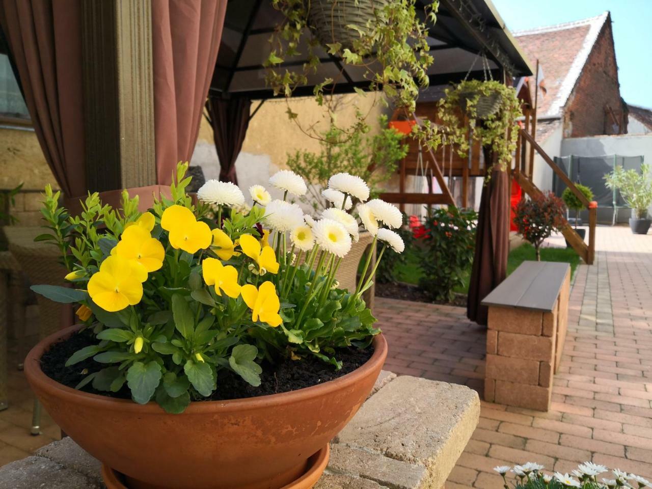 Korzó Apartman Kőszeg Zewnętrze zdjęcie
